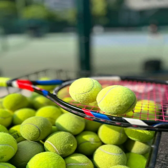 郑钦文北美硬地赛程确认 发球稳定性成温网后备战焦点 | JIANGNANSPORT